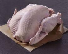 Kosher Fresh Turkey Approx. 12-14 lbs.