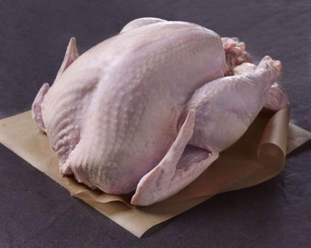 Kosher Fresh Turkey Approx. 12-14 lbs.