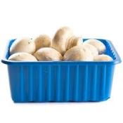 Kosher Cello White Mushrooms 8 oz