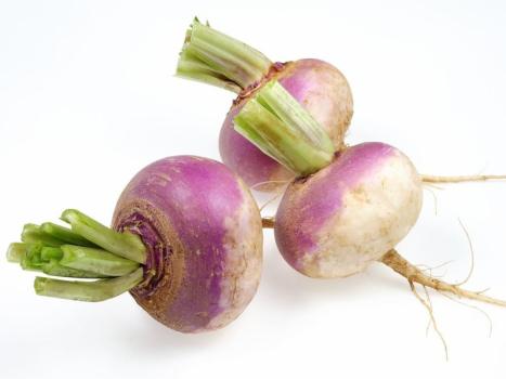 Kosher Fresh Turnips LB.