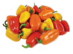Kosher Mini Sweet Peppers Medley 16 oz