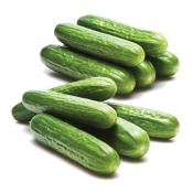 Kosher Persian Cucumbers LB.