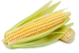 Kosher Yellow Corn 3 Pack