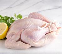 Kosher Mini Cornish Hens 1lb Pack Each