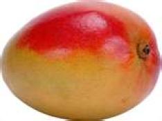 Kosher Mango (Each)