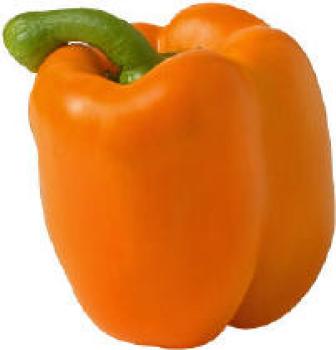 Kosher Holland Orange Bell Pepper LB.