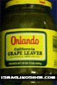 Orlando grape leaves